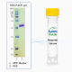 PreScission Protease (HRV 3C) 